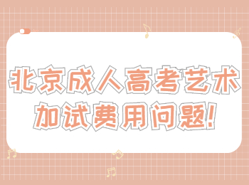 北京成人高考藝術加試