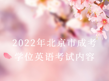 北京市成考學位英語考試內容
