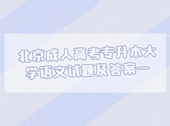 北京成人高考專升本大學(xué)語文